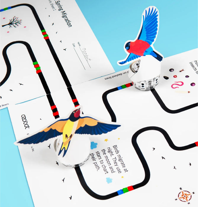 Ozobot Evo Entry Kit
